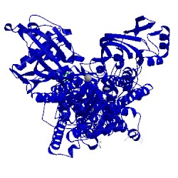 Image of CATH 5avr