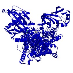 Image of CATH 5avv