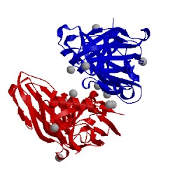 Image of CATH 5aws