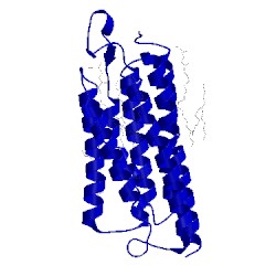 Image of CATH 5ax1