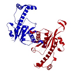 Image of CATH 5axk