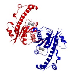 Image of CATH 5axl
