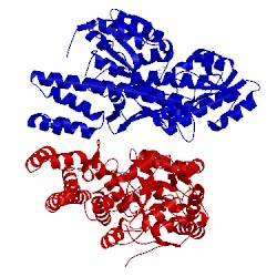 Image of CATH 5az6