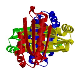 Image of CATH 5b0b