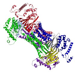 Image of CATH 5b2g