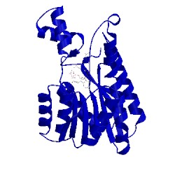 Image of CATH 5b4t