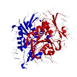 Image of CATH 5b55