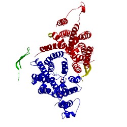 Image of CATH 5b58