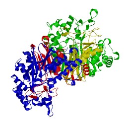 Image of CATH 5b5t