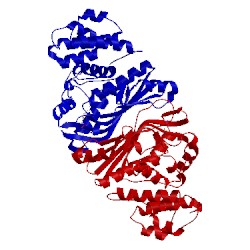 Image of CATH 5b6d