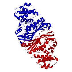 Image of CATH 5b6e
