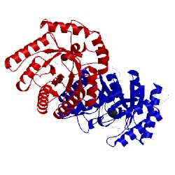 Image of CATH 5b7y
