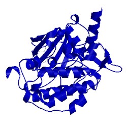 Image of CATH 5bms