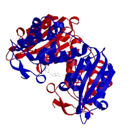 Image of CATH 5bni