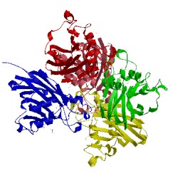 Image of CATH 5bob