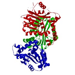 Image of CATH 5bp7