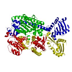 Image of CATH 5bpd