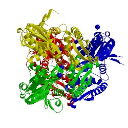 Image of CATH 5bpf