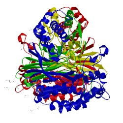 Image of CATH 5bpk