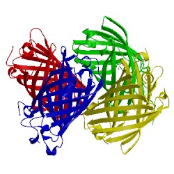 Image of CATH 5bql