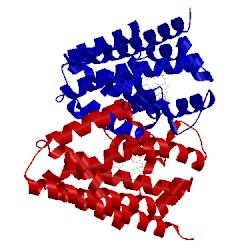 Image of CATH 5btq