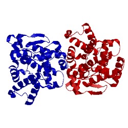 Image of CATH 5bu0