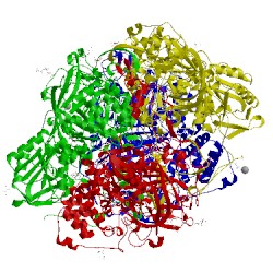 Image of CATH 5bv2