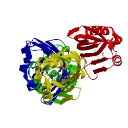 Image of CATH 5bvb