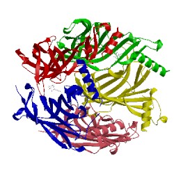 Image of CATH 5bw2
