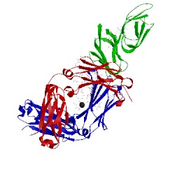 Image of CATH 5bw7