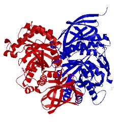 Image of CATH 5bwi