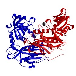 Image of CATH 5bwt