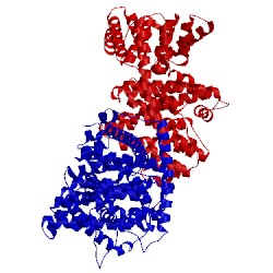 Image of CATH 5c05