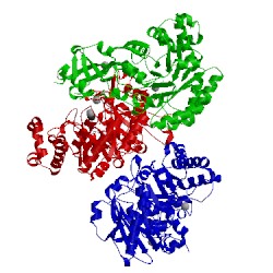 Image of CATH 5c2c