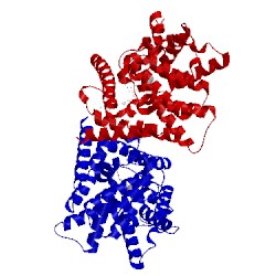 Image of CATH 5c2h