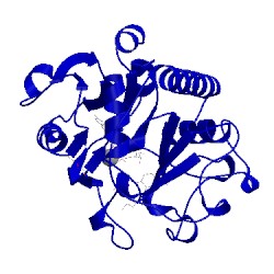 Image of CATH 5c4c