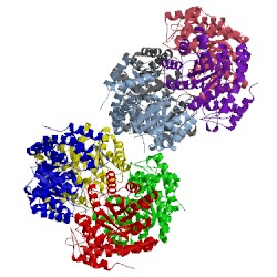 Image of CATH 5c54