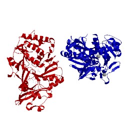 Image of CATH 5c5h