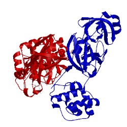 Image of CATH 5c5o