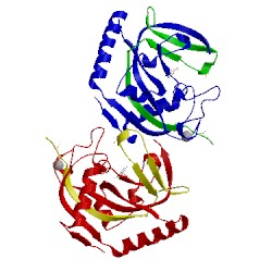 Image of CATH 5c5p