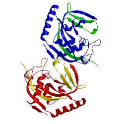 Image of CATH 5c5r