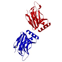 Image of CATH 5c5t