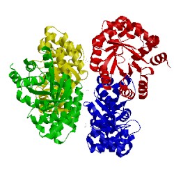 Image of CATH 5c5y