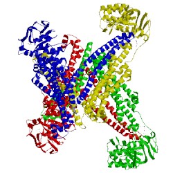 Image of CATH 5c78