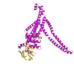 Image of CATH 5c78B