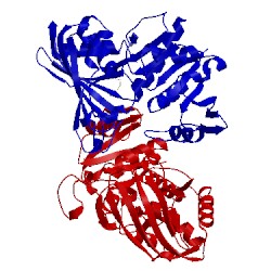 Image of CATH 5c7i