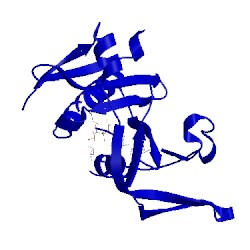 Image of CATH 5c82