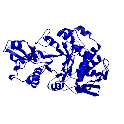 Image of CATH 5c8b