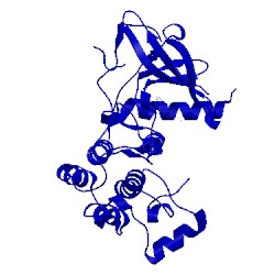 Image of CATH 5c8m