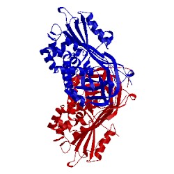 Image of CATH 5c98
